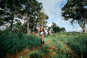 BIB: 
                            <button type="button" onclick="openModal(25999870)" class="btn btn-primary btn-sm float-right btn-popup" data-toggle="modal" data-target=".modal-high-quality">
                        <i class="fas fa-shopping-cart"></i> Add to Cart
                    </button>
                                            <button type="button" onclick="isThisMe(25999870, true)" class="btn btn-success btn-sm float-right btn-popup btn-isme hidden" data-toggle="tooltip" data-placement="bottom" title="นี่คือรูปของคุณใช่ไหม คลิกที่นี่เพื่อเอาเข้าอัลบั้ม">
                        <i class="fas fa-plus"></i> Add to album
                    </button>
                    <button type="button" onclick="isThisMe(25999870, false)" class="btn btn-warning btn-sm float-right btn-popup btn-isnotme hidden">
                        <i class="fas fa-ban"></i> Remove from album
                    </button>